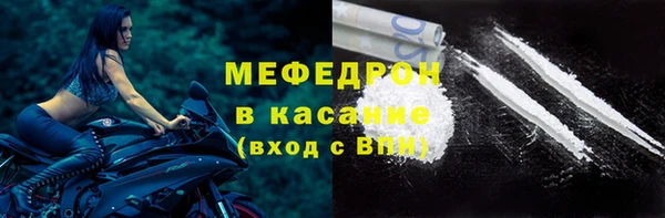 индика Аркадак