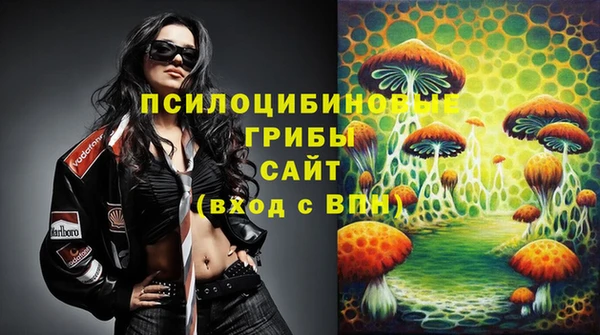 индика Аркадак