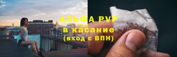 индика Аркадак