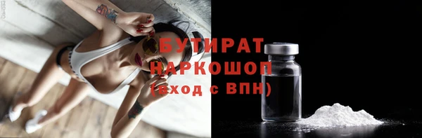 индика Аркадак