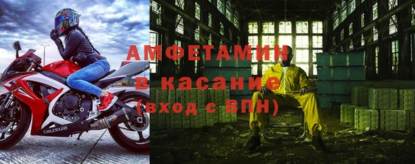 индика Аркадак