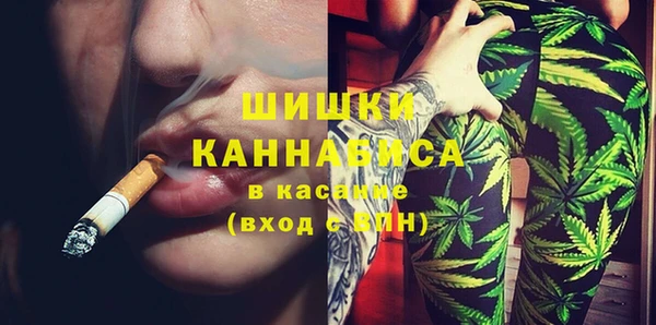 индика Аркадак