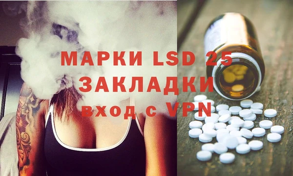 индика Аркадак
