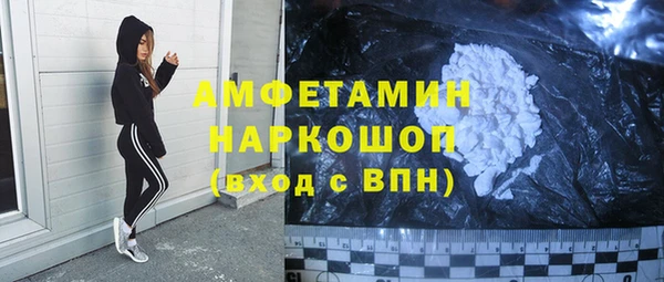 индика Аркадак