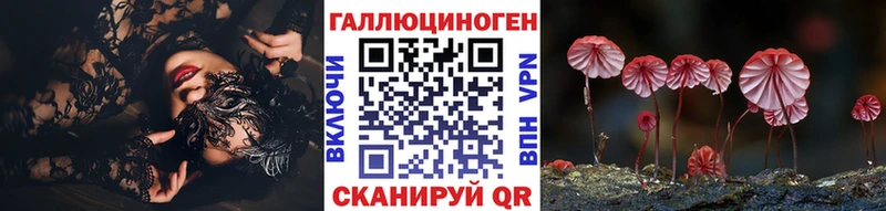 наркотики  Злынка  Галлюциногенные грибы прущие грибы 